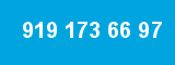 919 173 66 97 919 173 66 97